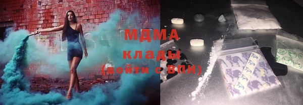индика Медвежьегорск