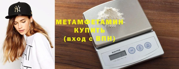индика Медвежьегорск