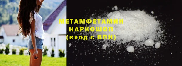индика Медвежьегорск