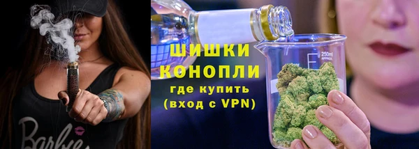 PSILOCYBIN Мегион