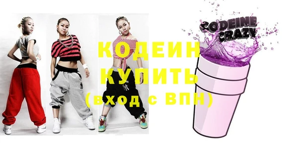 индика Медвежьегорск