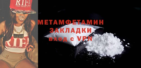 индика Медвежьегорск