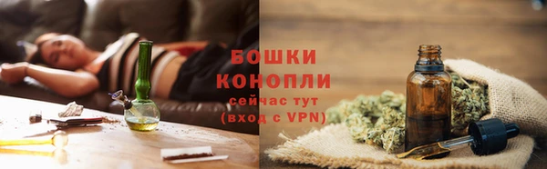индика Медвежьегорск