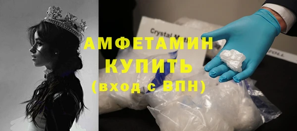 индика Медвежьегорск