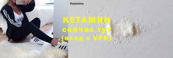 индика Медвежьегорск