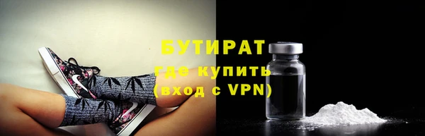 индика Медвежьегорск