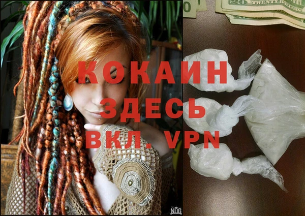 PSILOCYBIN Мегион