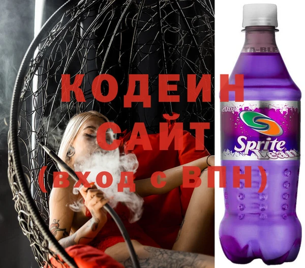 индика Медвежьегорск
