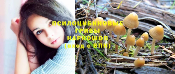 индика Медвежьегорск