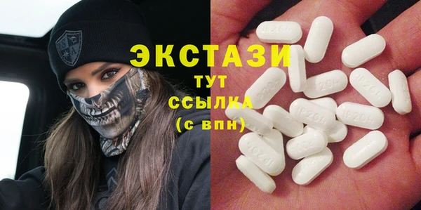 индика Медвежьегорск