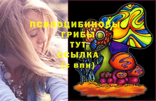 мяу мяу мука Медногорск