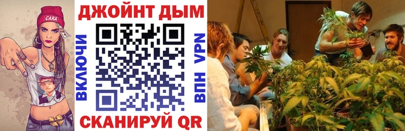 Бошки Шишки планчик  Иноземцево 